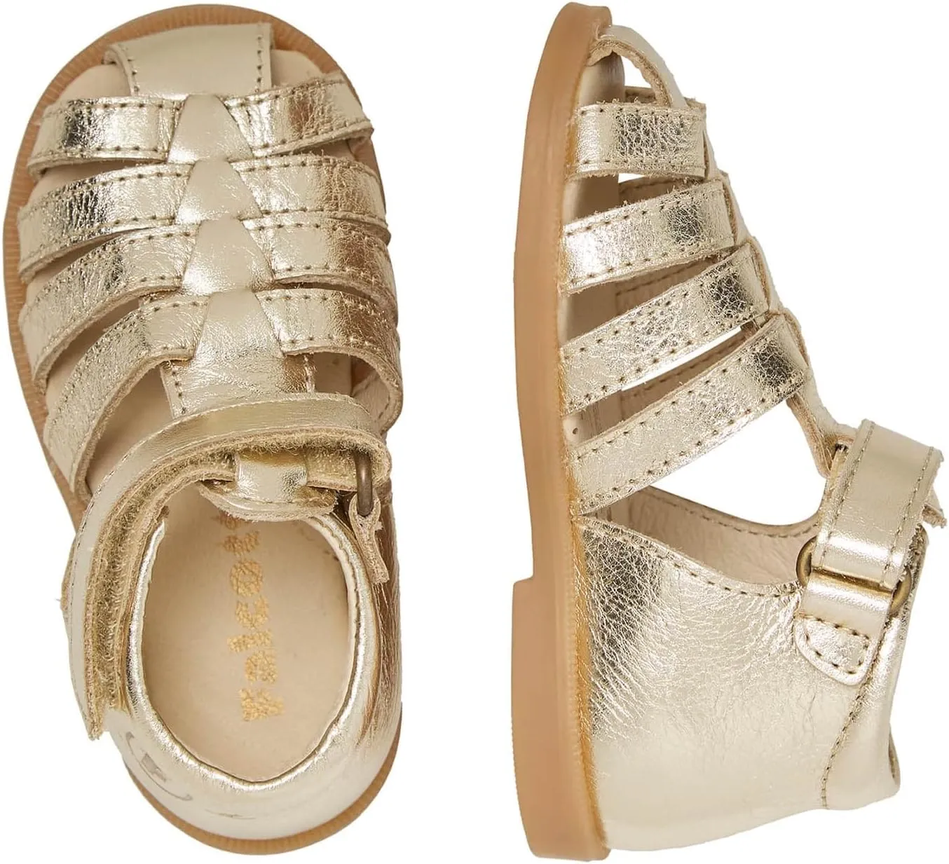 Falcotto Girl's Wakatobi (Toddller) Sandal