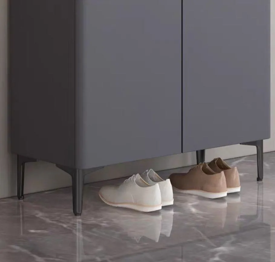 FOJO Modern Shoe Cabinet