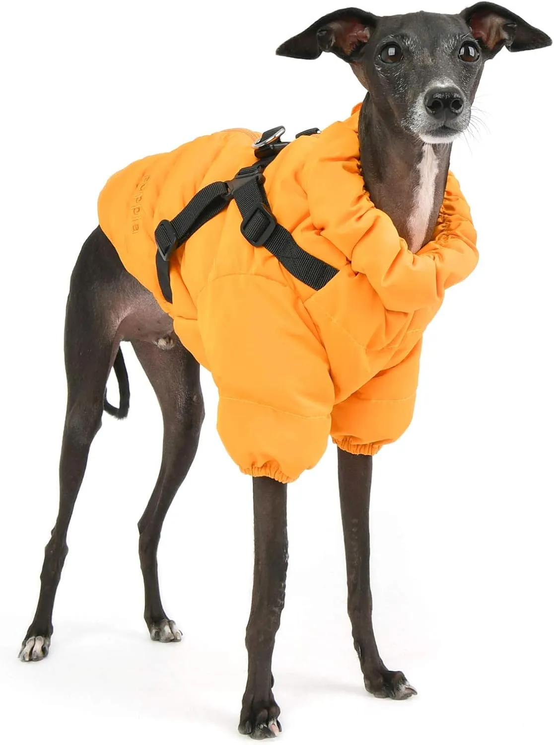 Puppia Soft Jumper - Orange - L