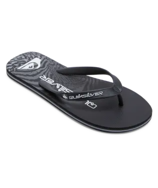 Quiksilver MOLOKAI NEW WAVE
