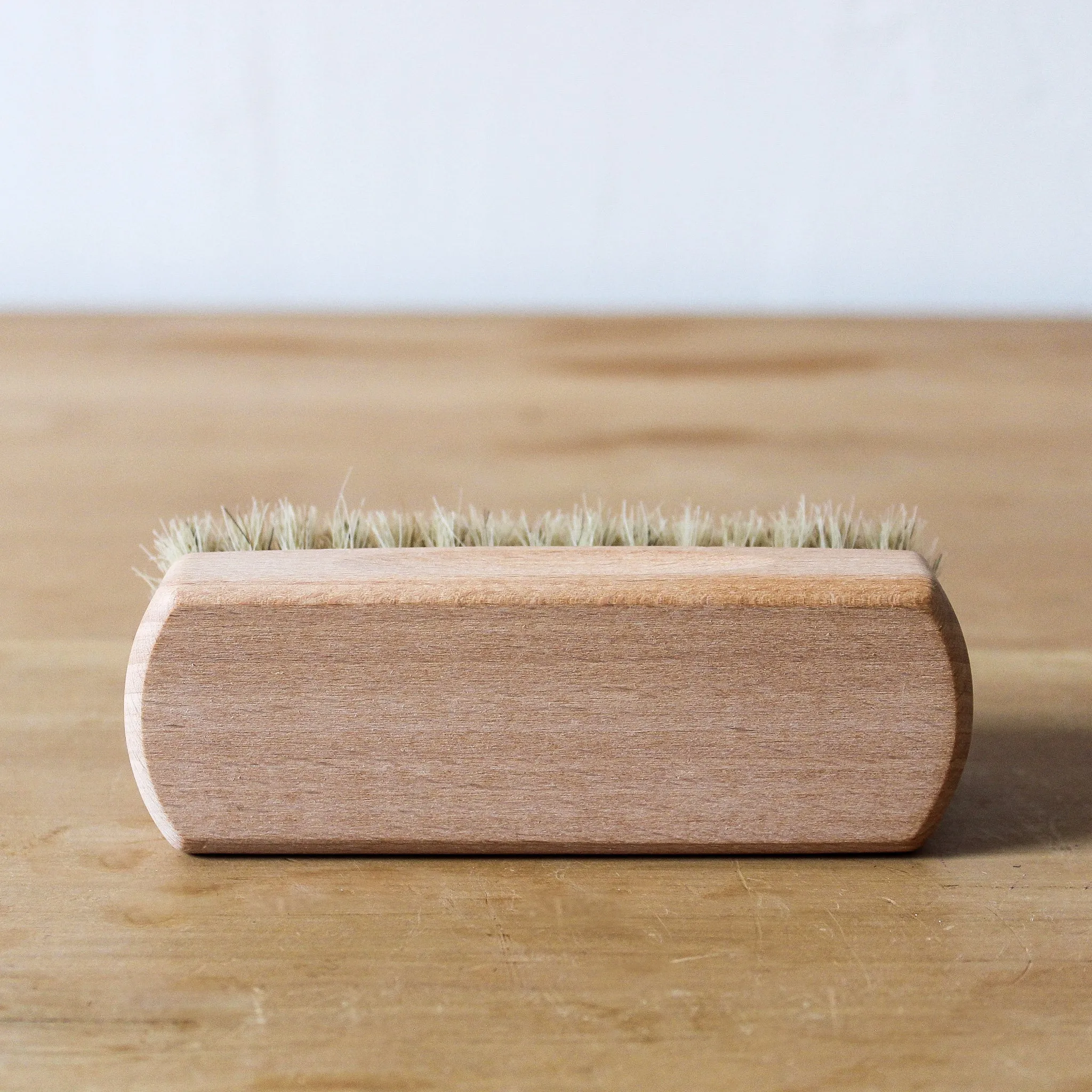 Shoe Brush Light