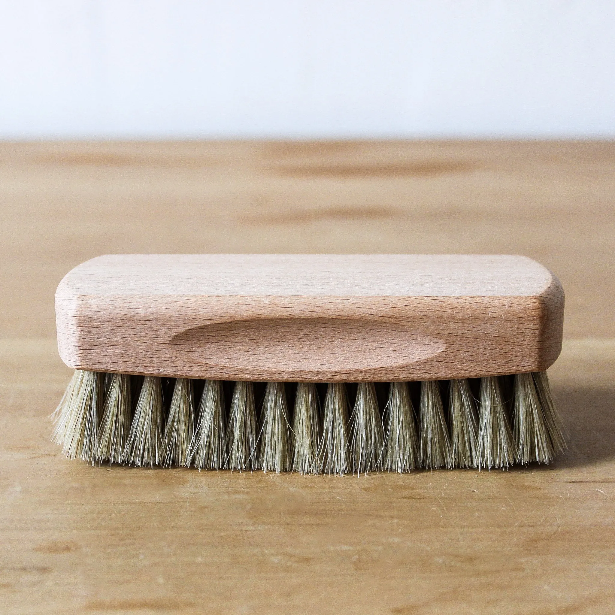 Shoe Brush Light