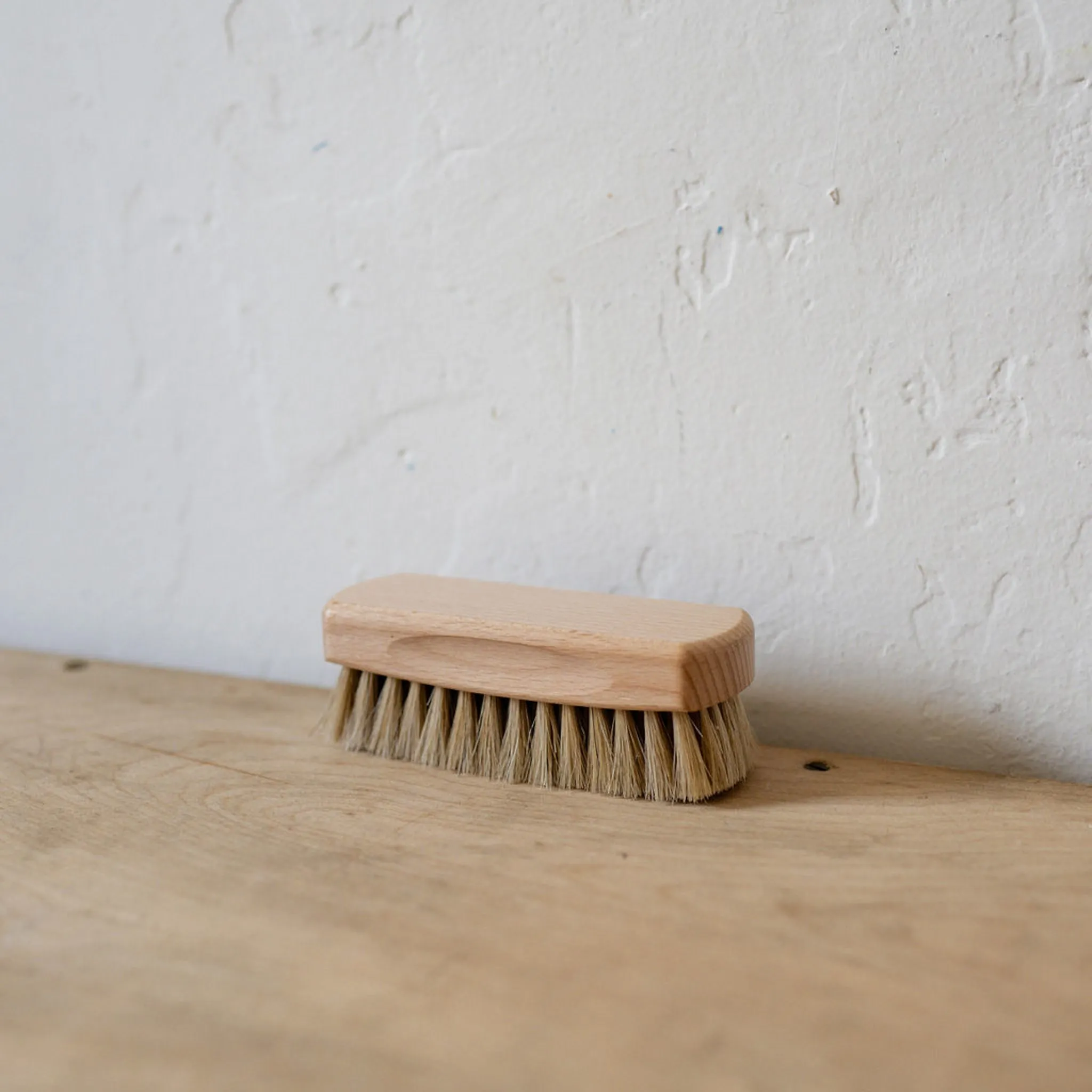 Shoe Brush Light